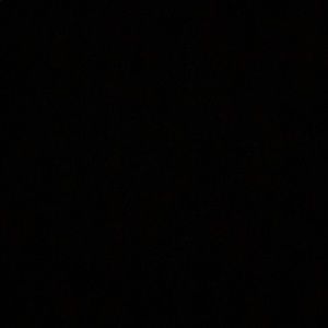 Meet your Posher, Tamia